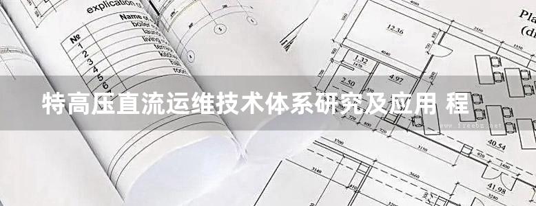 特高压直流运维技术体系研究及应用 程建登 (2017版)